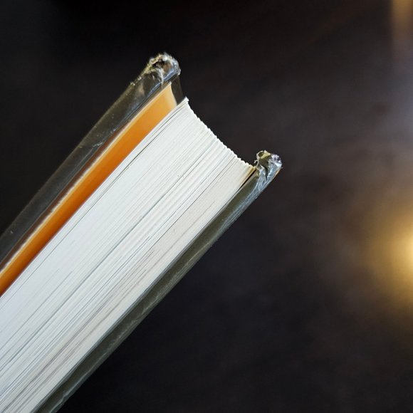 The Kingfisher Illustrated Animal Encyclopedia by David Burnie (2000, Hardcover) - Picture 4 of 4